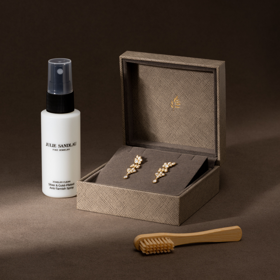 Jewelry Clean & Care Set